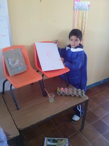 Sin Nombre